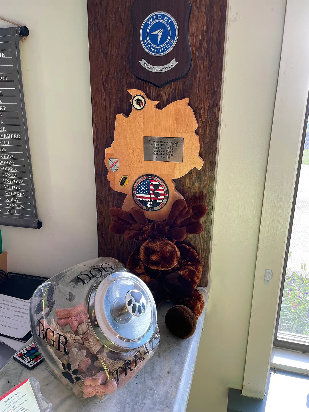 Dog treats in bangor © Peter Pitton